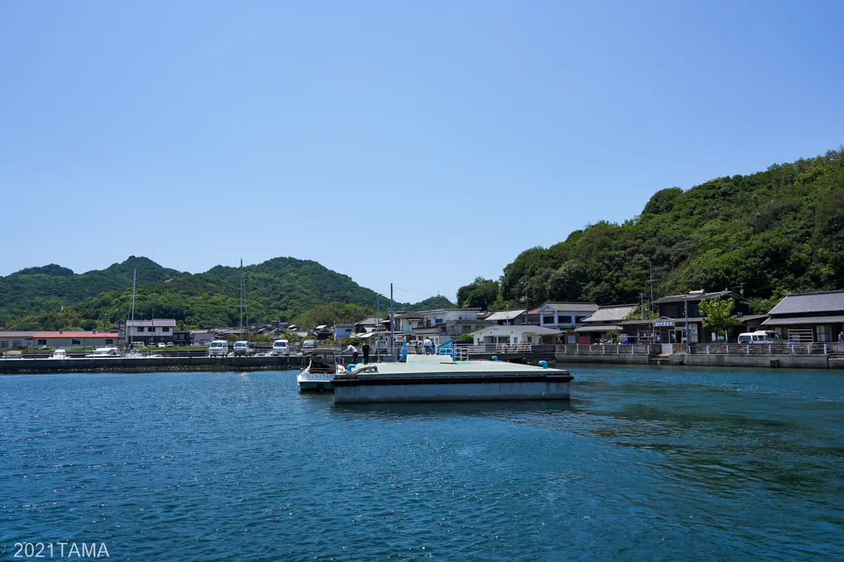 真鍋島の猫 ロードバイクで夏の笠岡諸島を巡ってきた Part 1 2 Tamaism